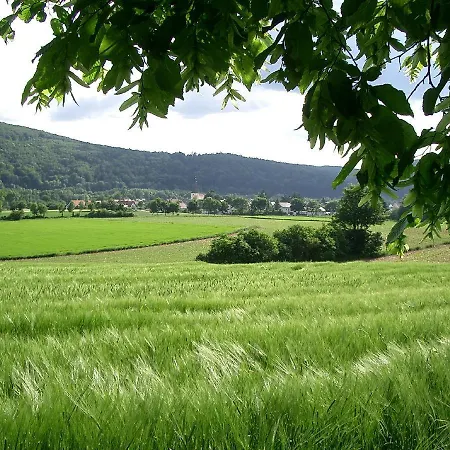Faber Mit Grossem Suedbalkon * Essing