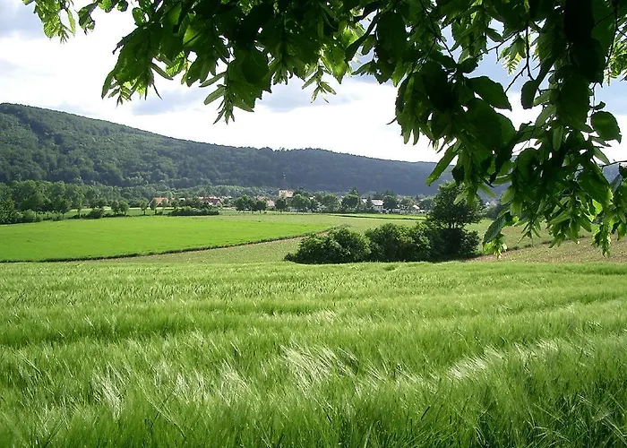 Faber Mit Grossem Suedbalkon * Essing